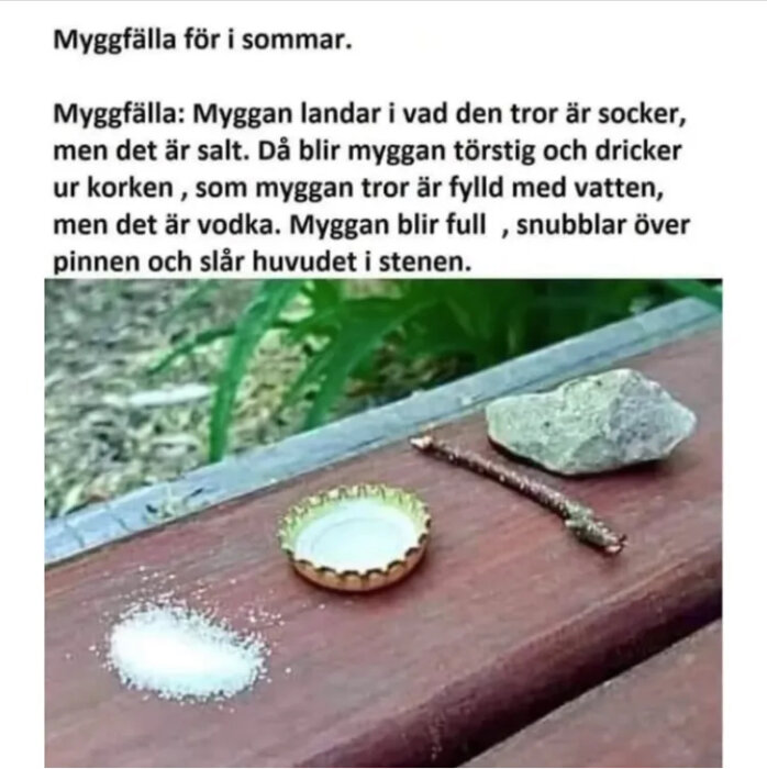 Myggfälla med salt, en kapsyl med vätska, en pinne och en sten på ett träbord, som en humoristisk fälla för myggor.