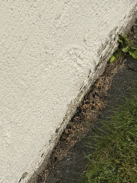 Putsad mur med avflagande färg och grönska i närheten, behöver underhåll.