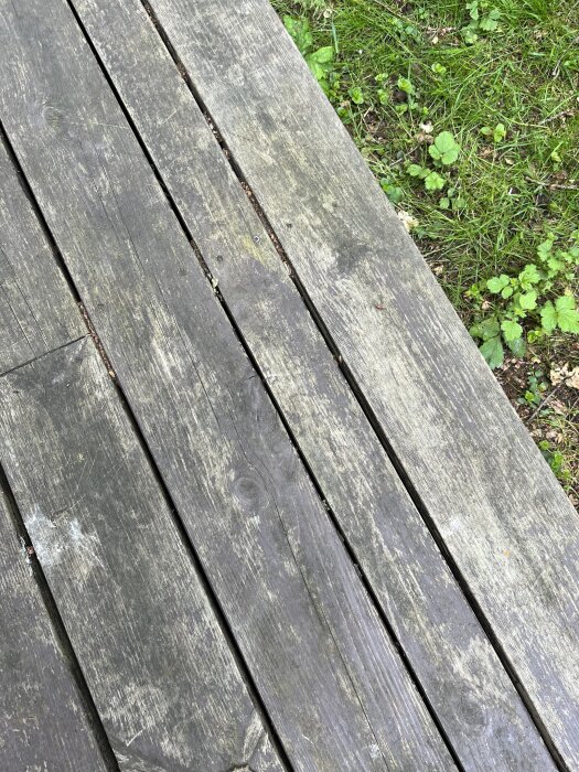 Avskavd och mörk trall med flagnande bets nära grönt gräs.