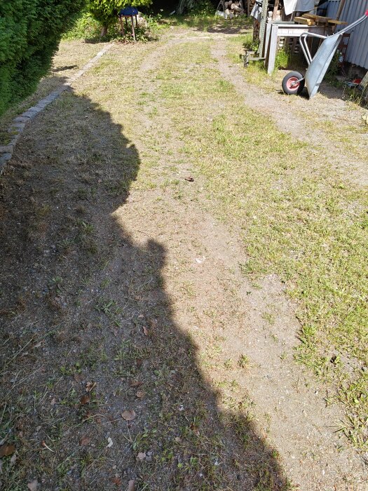 Överväxt uppfart med gräs och grus, skottkärra vid sidan.