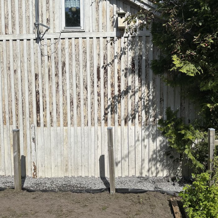 Sliten träfasad med markduk och singel framför, omgiven av grönska. Fyra träribbor står i singeln.