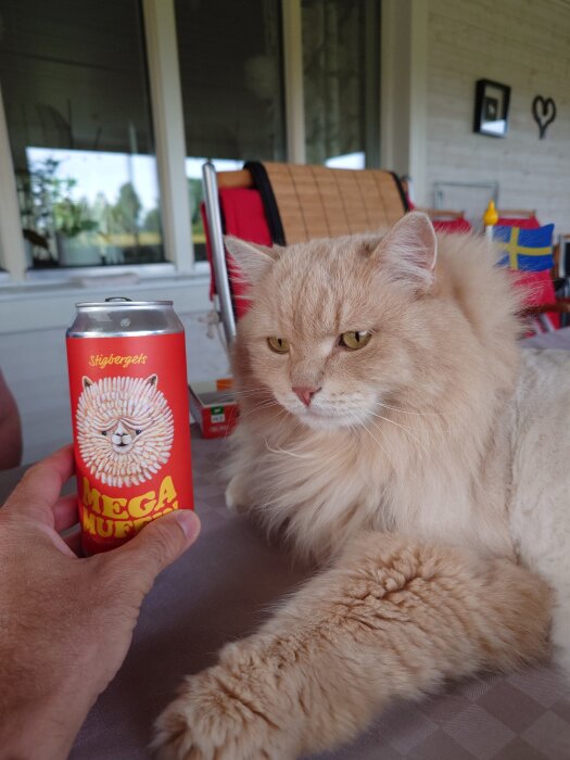 <![CDATA[Krämfärgad katt på bord bredvid en person som håller en rödburk med texten "MEGA MUFF" och en tecknad katt.]]>