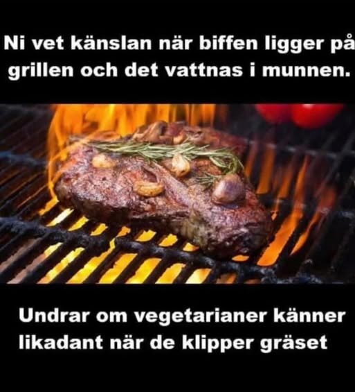 En stek med kryddor grillas över öppen låga på en grill. Text skämtar om kött och vegetarianer.