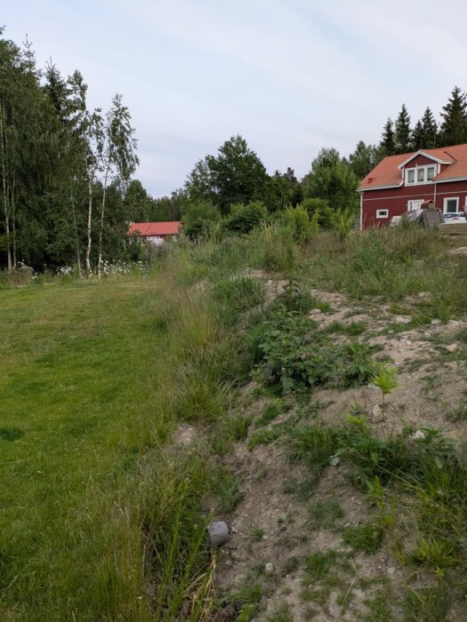 Stenig slänt mot gräsmatta, omgiven av grönska och ett rött hus i bakgrunden, potentiellt plats för häckplantering.