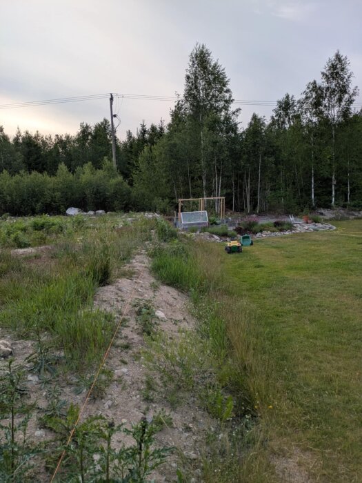 Slänt med gräs och sten, planteringslinje markerad, elstolpe i bakgrunden, skog med träd.