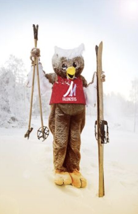 En person i en ugglekostym med skidor och stavar står på ett snötäckt fält.