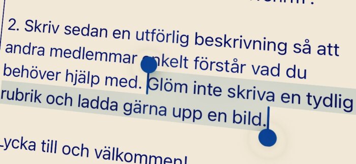 Text med uppmaning om att skriva tydliga rubriker och ladda upp bilder i forum.
