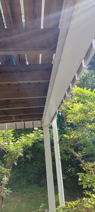 Utomhus bärande metallkonstruktion under trädeck med några rostfläckar synliga, omgärdad av grönskande buskar.