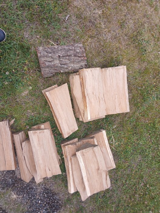 Träbitar från en uppdelad stock ligger på gräs. En av bitarna har bark kvar. Frågans fokus är på träslaget, misstänkt ek eller björk.