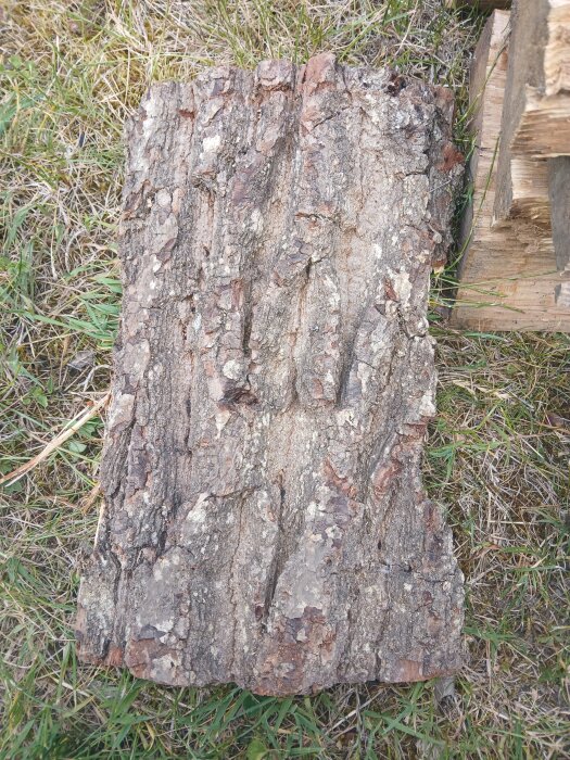 En träbit med grov bark ligger på gräset. Barken har oregelbundna mönster och varierande färgtoner från grått till brunt, med en del ljusare fläckar.