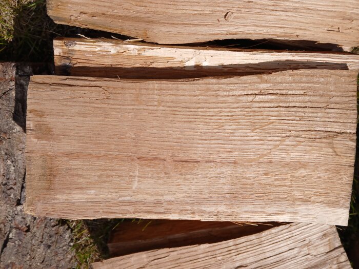 Hyvlad träbit med tydliga ådringar, osäker på träslag, misstänkt ek eller björk, ingen tydlig lukt vid hyvling.