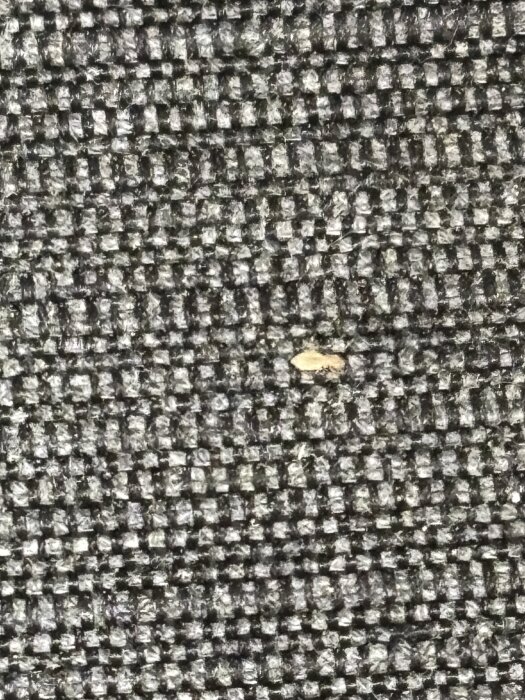 En liten gulbrun insekt på en svart- och vitrutig dyna i kallförråd.