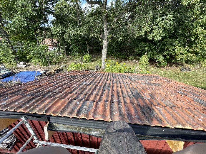 Taket sett från ovan med röd takpannor och grönskande trädgård i bakgrunden. En byggnadsställning syns vid takets kant.