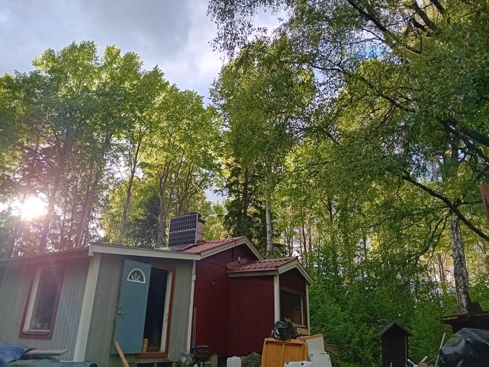 Äldre röd och nyare grå utbyggnad av stuga, placerad i lummig skogsmiljö, med öppnad dörr och lutande tak.