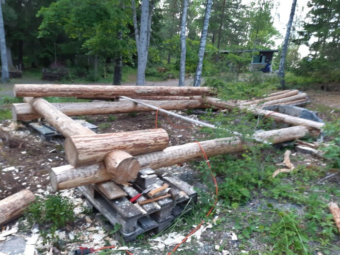 Byggprojekt i skogen med timmerväggar under uppbyggnad, omgiven av träd och grönska.