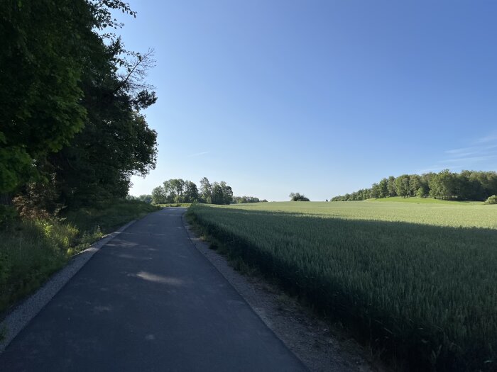 Asfalterad väg omgiven av åkrar och träd under en klarblå himmel.