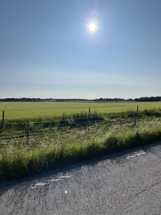 Landskapsvy med en solbelyst åker, staket och en asfalterad väg i förgrunden under en klarblå himmel.