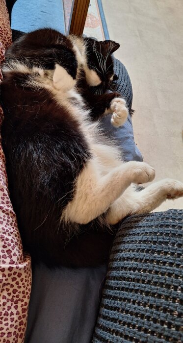 Svart-vit katt sover ihopkurad på en blå filt bredvid en mönstrad kudde och stickad filt.