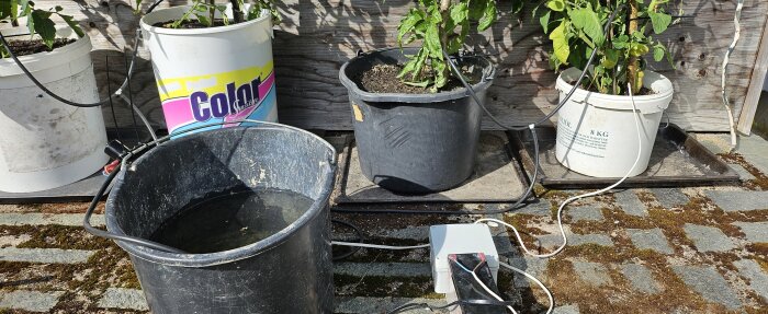 Automatbevattningssystem med plastbaljor och hinkar, anslutna med slangar för att vattna växter i hinkar, står på en stenbelagd yta.