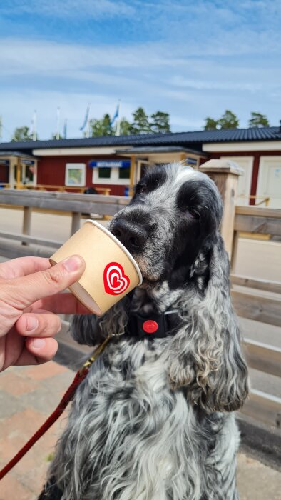 En hund som slickar på en glassbägare under en campinghelg, med en människa som håller bägaren, omgiven av trähus och blå himmel i bakgrunden.