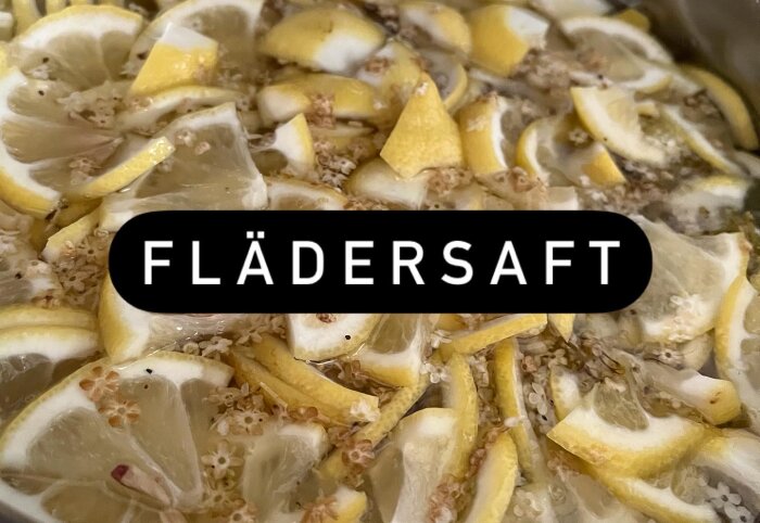 Närbild av hemmagjord flädersaft med citronskivor och fläderblommor i vätska.