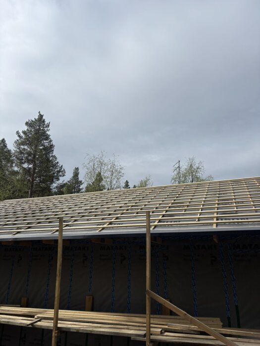 Tak under konstruktion med synliga träreglar och väderskydd, träd omgivande byggnaden.