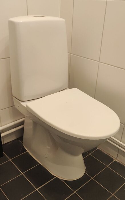 Vit toalett mot vit kaklad vägg, eventuellt problem med cisternens bottenpackning och behov av att byta bottenventil.