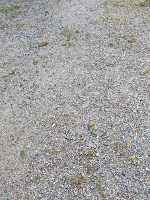 Grusplan med spridda grästuvar och ogräs, del av en baksida som planeras för förbättring med gräsmatta och gångar.