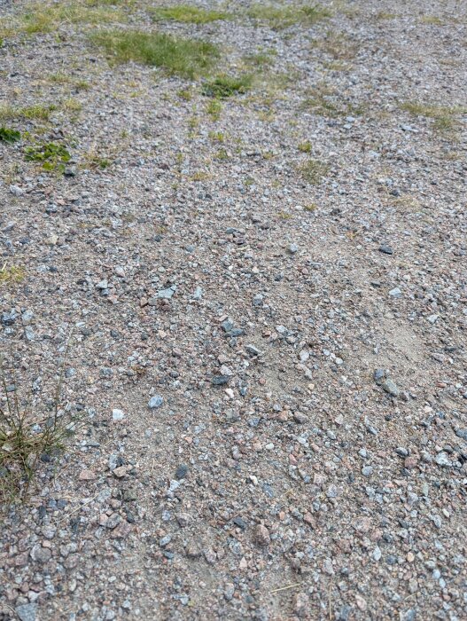 Grusmark med några grästuvor och ogräs, som beskrivs i forumdiskussionen om tomtförbättring.