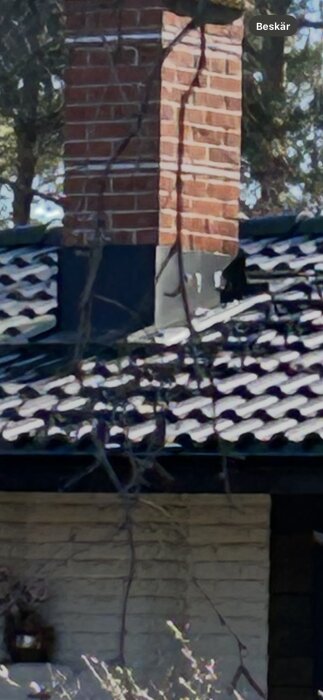 Skorsten med flagnande plåt avbildad från ett tak, omgiven av tegel och takpannor, omgiven av träd och himmel i bakgrunden.