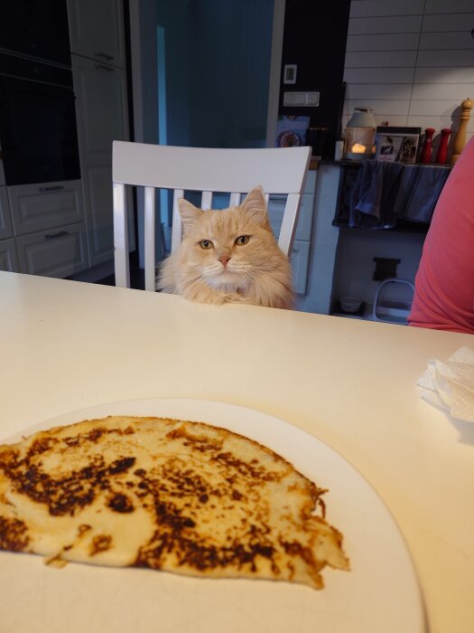En katt sitter på en stol vid ett köksbord med en pannkaka på en tallrik.