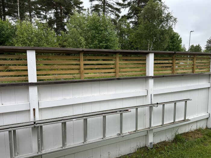 Vitt plank med nya ribbor överst och en stege lutad mot det, omgiven av grönska.