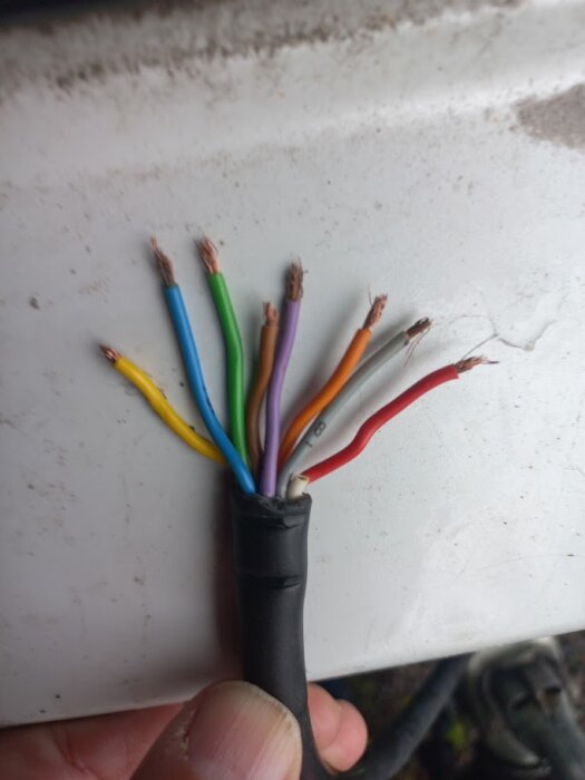 Flera lösa färgade sladdar från en släp, ska kopplas till en 13-polig kontakt. Sladdarna är gula, blå, gröna, lila, bruna, vita, röda och svarta.