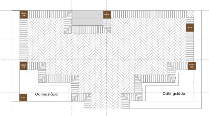 Planskiss över växthus med odlingslådor och sockel, visar placering av citrus, kiwi och kaki, samt murblocksmönster.