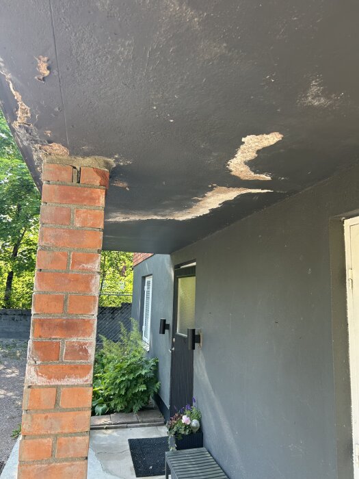 Skadat tak med flagande färg ovanför en ytterdörr med tegelpelare och växtligheter bredvid.