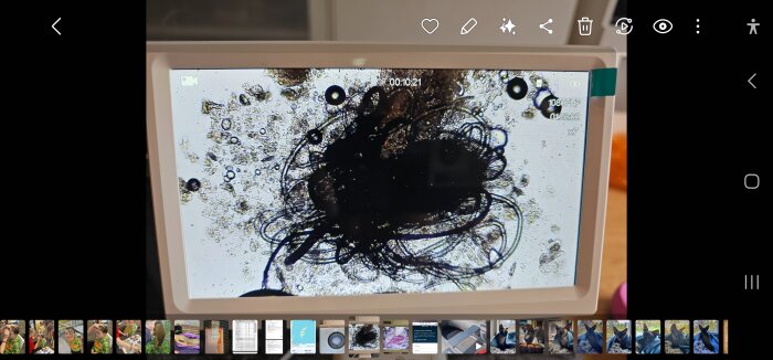 Närbild av ett mikroskop på en skärm som visar en invecklad struktur av hårda och mjuka material liknande hår eller trådar.