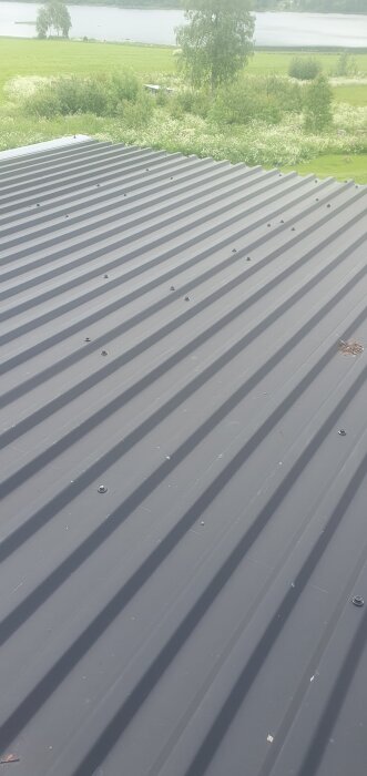 Plåttak med överlappande profil mot en bakgrund av grönska och sjö.