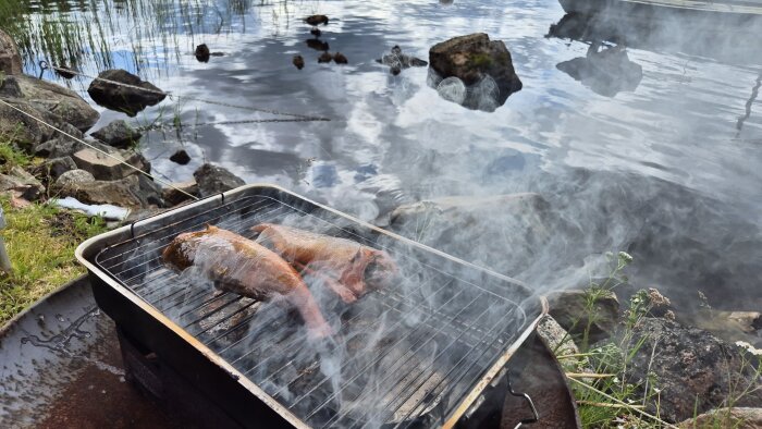 Rökt fisk grillas på en grill vid en sjö med röken virvlande runt, omgiven av stenar och vatten.