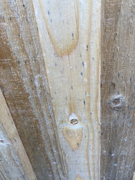Närbild av träpanel med gröna prickar på ytan.