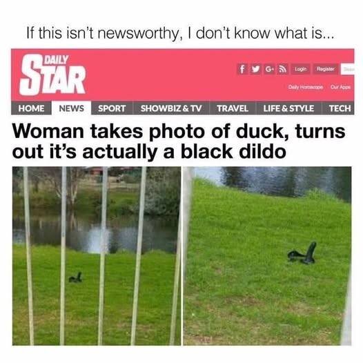 Tidningsartikel med rubriken: "Woman takes photo of duck, turns out it's actually a black dildo" med bilder av en gräsmatta vid vatten.