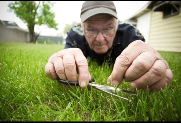 Äldre man liggande på gräsmatta och klipper grässtrån noggrant med en sax, med fokus på hans händer och saxen.