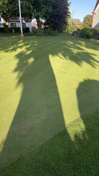Nyklippt grön med skuggor från träd och omgivning, omgiven av annan vegetation och byggnader i bakgrunden.