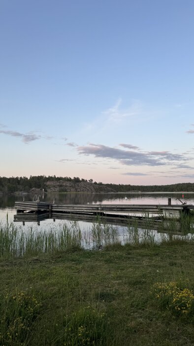Träbrygga vid sjökant med vass i förgrunden, omgiven av stilla vatten och skog i bakgrunden, under en ljus kvällshimmel.