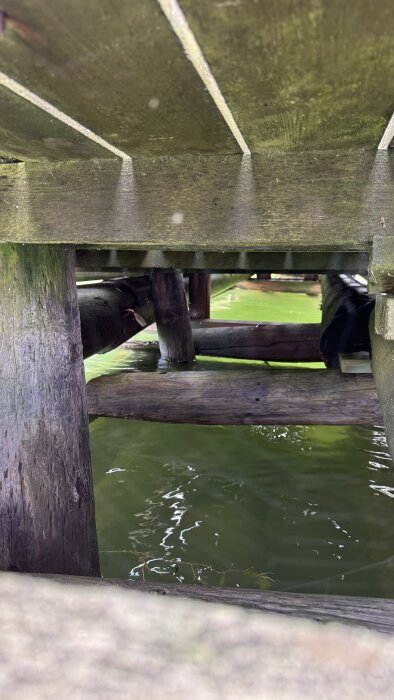 Träbrygga med slitna och ruttna bärande stockar, några lösa kilar syns, samt vatten under bryggan som påverkar konstruktionens stabilitet.