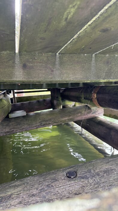 Träbrygga med slitna och ruttna stockar, delvis understödda av lösa kilar, ovanför vatten.