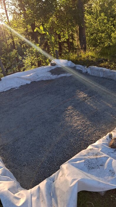 Växthusprojektets grund med gruslager och markduk, snören spända över ytan i solnedgångsljus, omgiven av grönska.