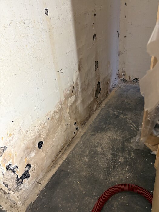 Källarvägg med nerknackad puts, några mörka fläckar och synlig golvkant, eventuellt asbest i den vita putsen, enligt inlägg om analysresultat.