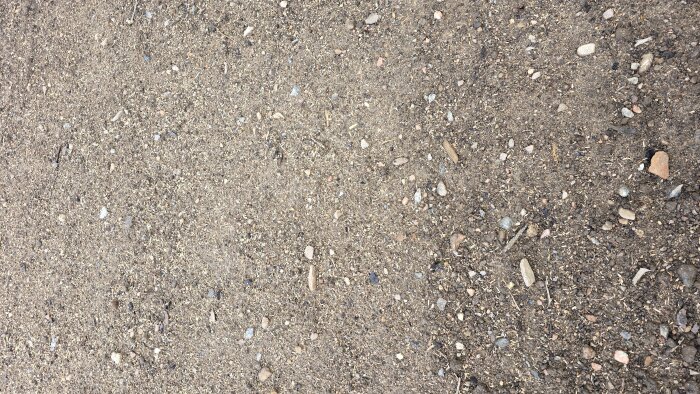 Närbild av jord med spridda gräsfrön och småstenar efter att ha använt en fröspridare, lätt krattat och hållit fuktigt sedan sådd.