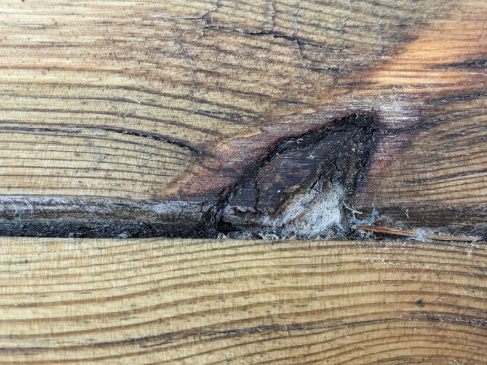 Närbild av träplankor med synliga sprickor och ojämn yta; tecken på behandling, troligen oljad snarare än såpad.