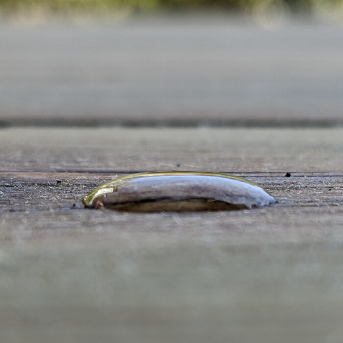 Vattendroppe på träyta med pärlbildning, nära fokus, antyder att ytan kan vara inoljad istället för behandlad med såpblandning.